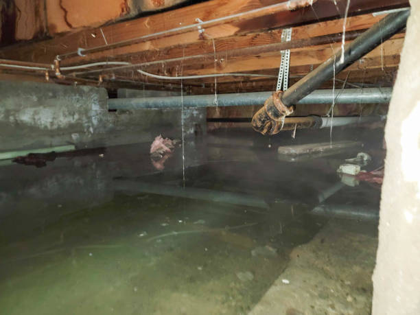 Water damage restoration experts in Mount Hore, WI