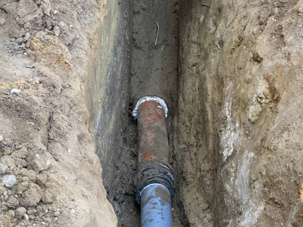 Best Flood restoration services  in Mount Hore, WI