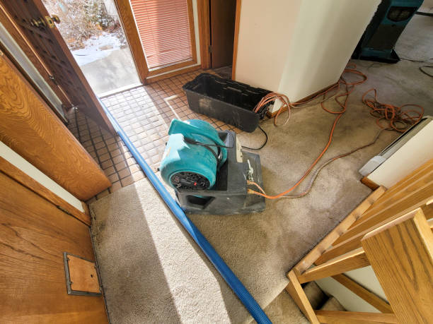 Best Sewage cleanup and water damage restoration  in Mount Hore, WI