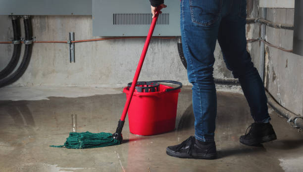 Best Mold removal after water damage  in Mount Hore, WI