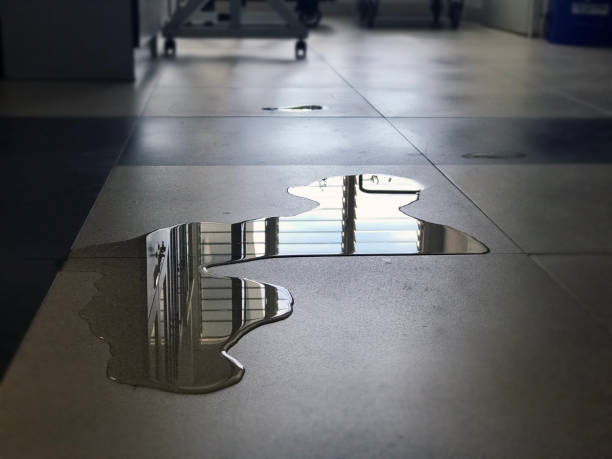 Best Carpet water damage restoration  in Mount Hore, WI