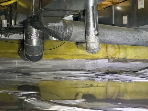 Best Water damage contractors near me  in Mount Hore, WI