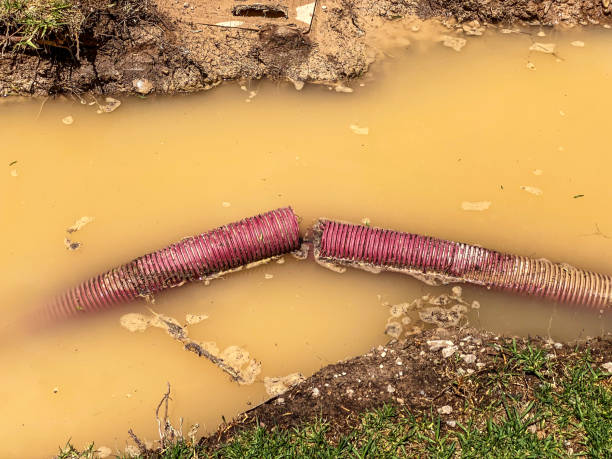 Best Water damage contractors near me  in Mount Hore, WI