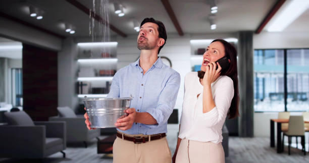 Best Local water damage restoration  in Mount Hore, WI