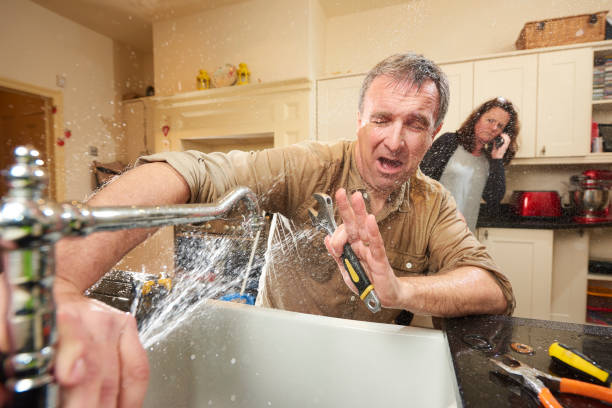 Best Fire Damage Restoration  in Mount Hore, WI